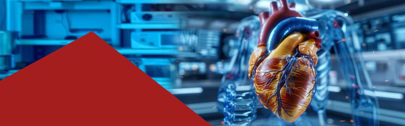 B.Sc. (Hons) in Cardiovascular Technology