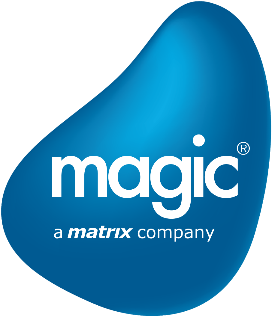 Magic Software Logo